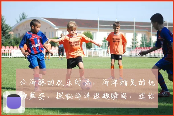 公海豚的欢乐时光，海洋精灵的优雅舞姿，探秘海洋逗趣瞬间，逗你笑不停，必看