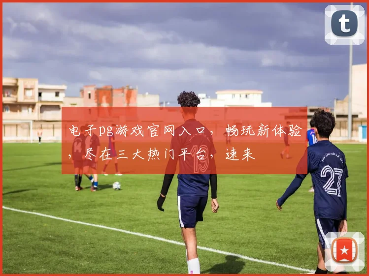 电子pg游戏官网入口，畅玩新体验，尽在三大热门平台，速来