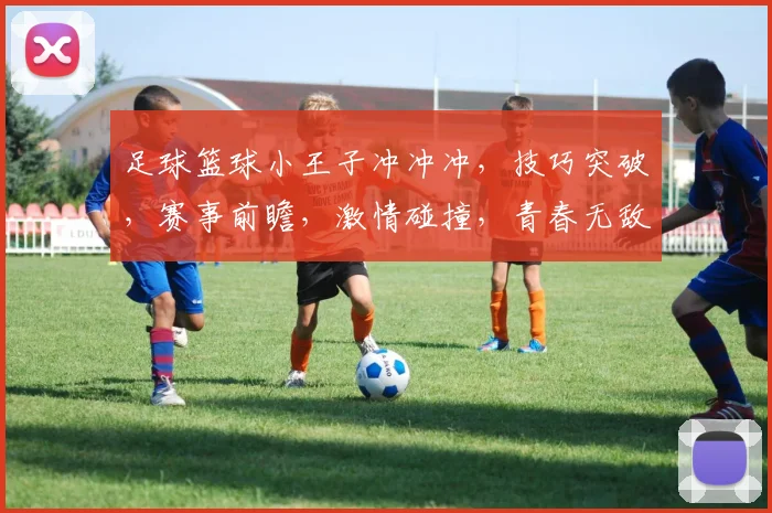 足球篮球小王子冲冲冲，技巧突破，赛事前瞻，激情碰撞，青春无敌