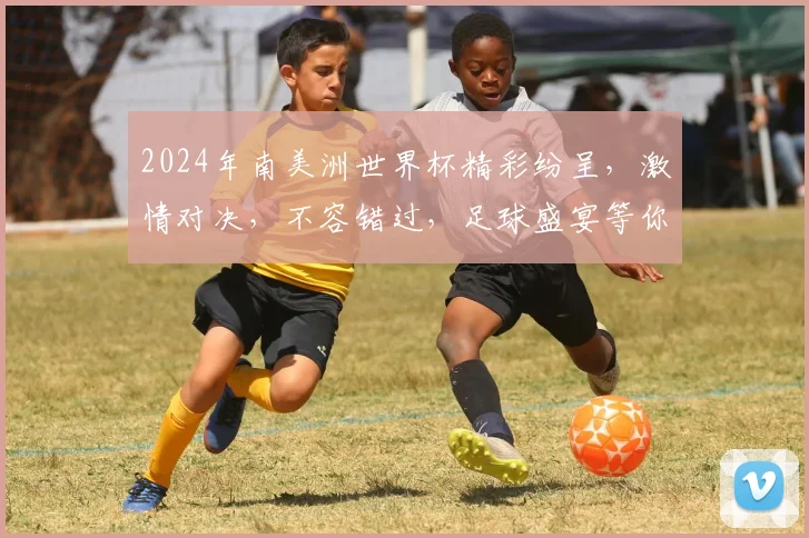 2024年南美洲世界杯精彩纷呈，激情对决，不容错过，足球盛宴等你来